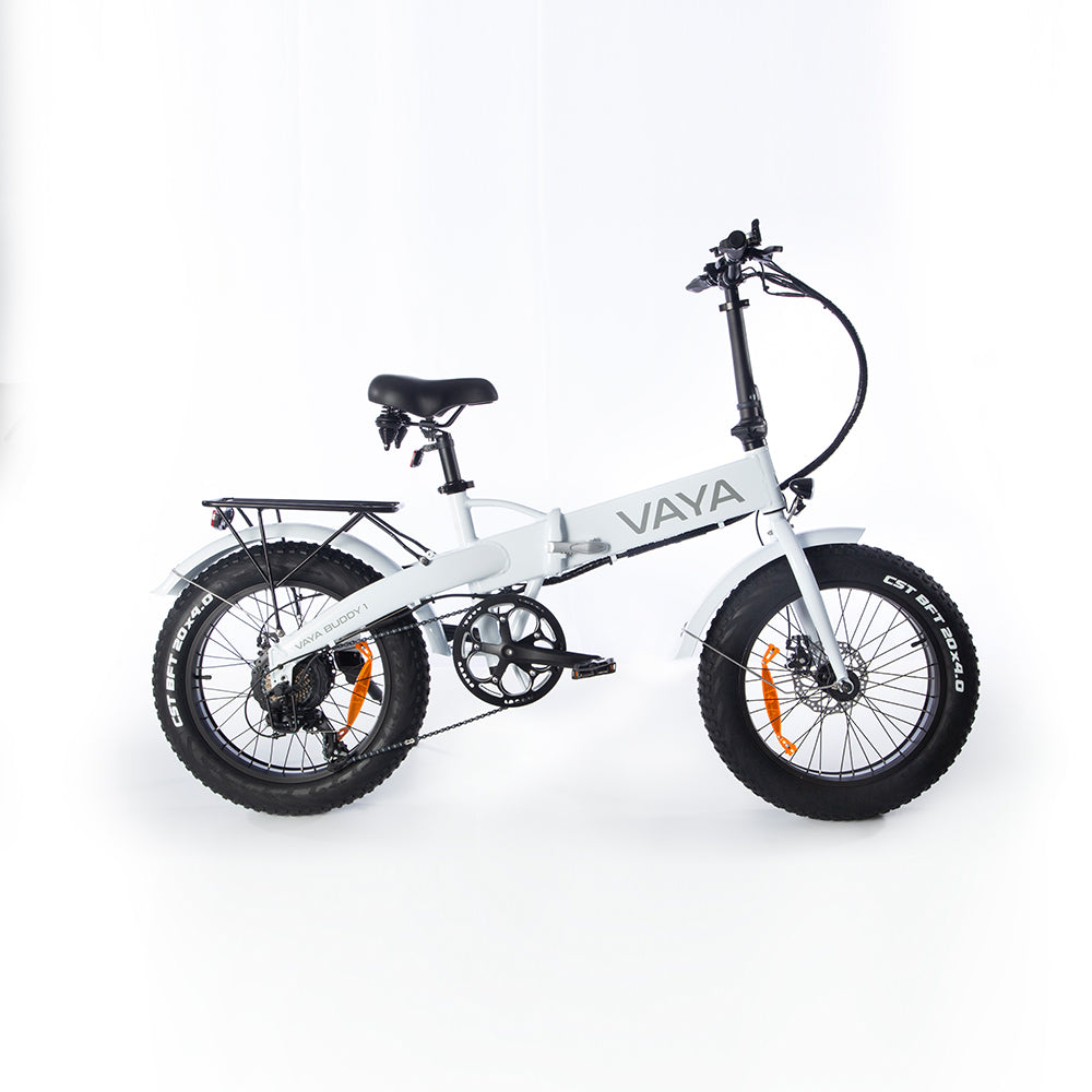 Accolmile x VAYA 48V 250W Electronic Snow Bike with BAFANG RM-G060.250.DC Rear Hub Motor