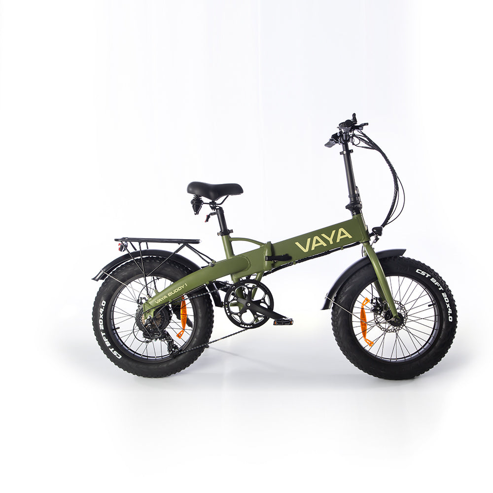 Accolmile x VAYA 48V 250W Electronic Snow Bike with BAFANG RM-G060.250.DC Rear Hub Motor