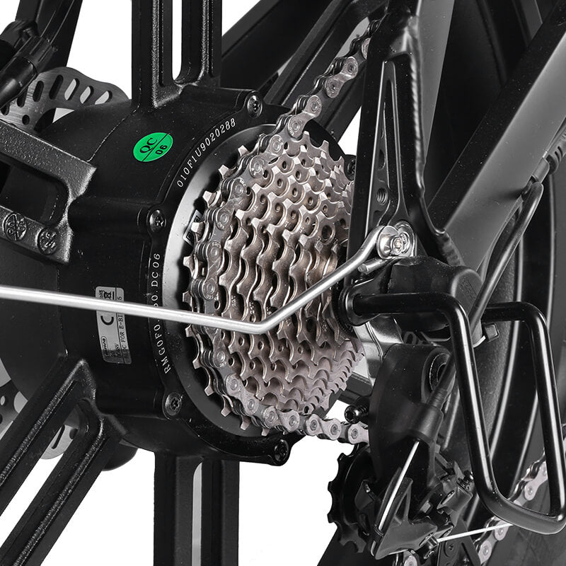 Black Panther - 750W Bafang Hub Motor Electric Folding E-Bike