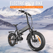 Accolmile Rhino - 48V 1000W 16.5Ah Bafang BBSHD Mid Motor Snow Bike for Winter_
